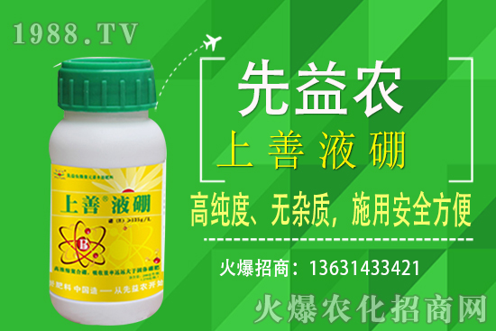 ���˷Nֲ�l������Щ�����˷NֲҪ��ôʩ����