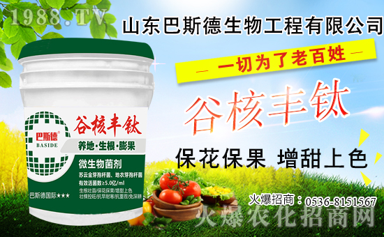 ���䶬���޼�ʲô�r(sh��)������������޼���������Щ��