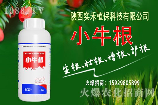 ���؅^(q��)���؃r�������rһ�[��10��29�գ�