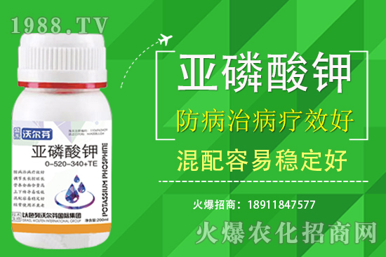 �������Ҫ��������ʲô������֮�g��ʲô�P(gu��n)ע��