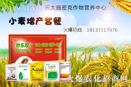 С�����N�󲻳�������ʲôԭ����ɵ���