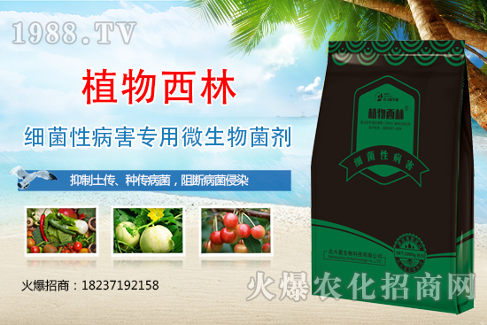 ����̿�Ҳ��Y����ʲô������̿�Ҳ��l(f��)��ԭ�򼰷���