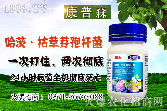 С���r(ji��)��ֹ���ط�(w��n)��С���r(ji��)���ܝq������