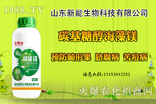 ���������ݮ���ι�ԭ�򣬳��F(xi��n)���ι���ô������