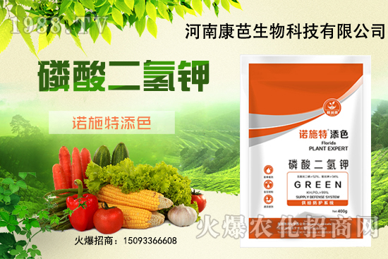 �������￹�����������⛼����������������8����