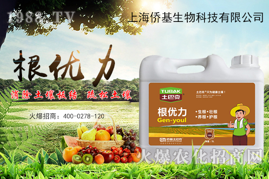 ����������ʲô�����������x������Щ��