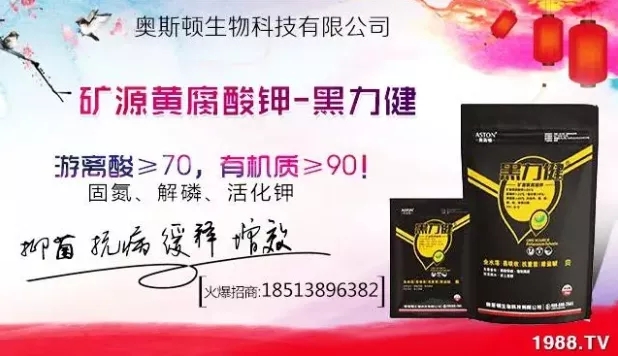 ����ʲô�r�g���N��ע���������Щ�����ش���Nֲ�r�g����