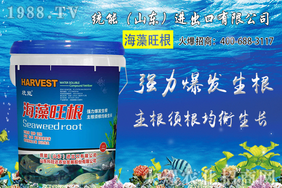 С���Nֲ�r�g��δ_����2020��С���Nֲע����Щ���}��