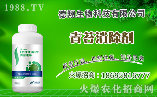 �Ͳ�ʲô�r(sh��)�g�Nֲ���Ͳ˷Nֲ������ʲô������Щע�����(xi��ng)��