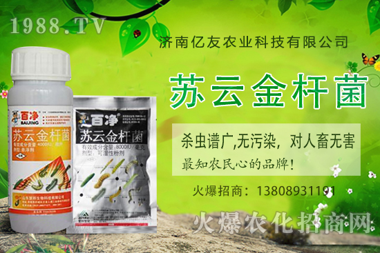 �S�ҷNֲ��(y��ng)ԓע����Щ���(xi��ng)���S�ҷNֲ�r(sh��)�g�����g������