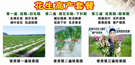 �����߮a(ch��n)�ײ�-�r(n��ng)�̘�