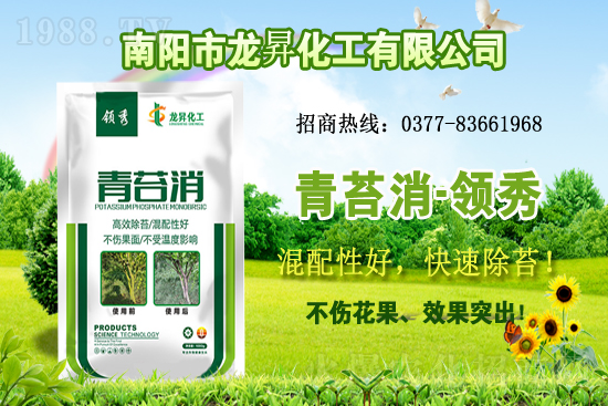 �󶹹����������r����m(x��)�ϝq�����ش󶹃r������