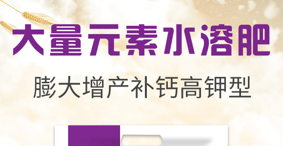 �׾S�����x��-���A����_01