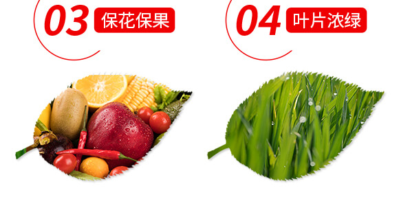 ϡ��΢��Ԫ��ˮ�ܷ���-���M�@-ؐ��_06