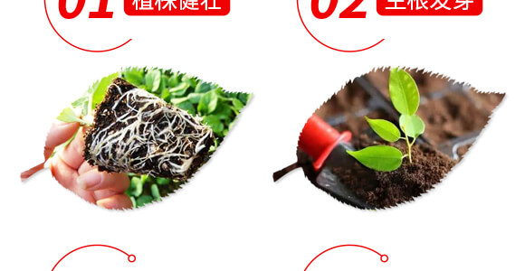 ϡ��΢��Ԫ��ˮ�ܷ���-���M�@-ؐ��_05