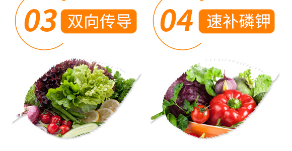 50g磷酸二氫鉀-卡施特_07