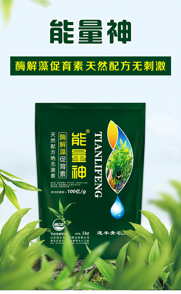 ø���������-������-�����S_01