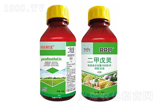 �������`���݄��r��2020.11.24