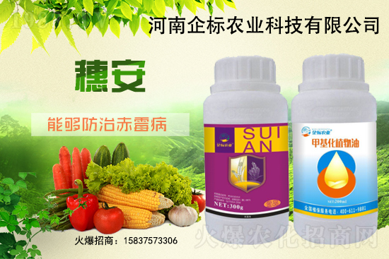 С����ù��Σ�����c(di��n)������С����ù����ʲôˎ��