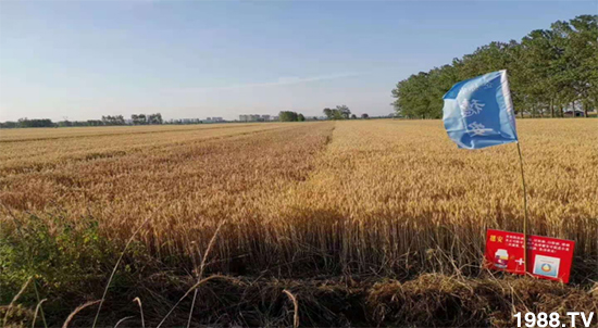 С����ù��Σ�����c(di��n)������С����ù����ʲôˎ��