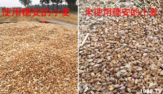 С����ù��Σ�����c(di��n)������С����ù����ʲôˎ��