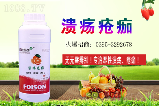 2021��ʯ��Nֲ������Σ�ʯ�������ǰ����ô����