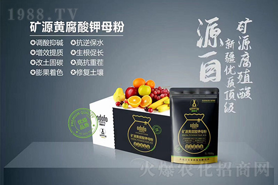 ʲô���߲��亦�����������￹��������