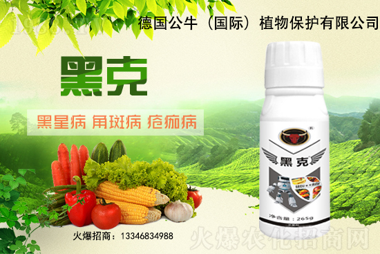 �|��������3Ԫ/�����11��28�մ󶹃r(ji��)������