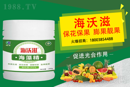 ��ɲ�ݮ��С��ʲô���أ���ô���M��ݮ�������