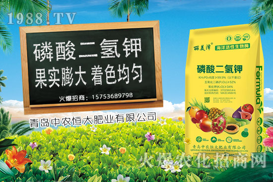 ����С���r���ϝq�������Ƿ�����m(x��)�ϝq��