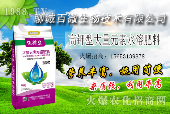 �׌�ֲ�����Ҫ������Щ���׷���ʲô������ԓ��������