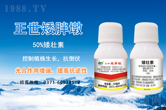 С����ǰ���L��ʲôΣ������ȡʲô��ʩ����Ч��ͽ�L��