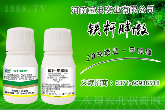 С����ǰ���L��ʲôΣ������ȡʲô��ʩ����Ч��ͽ�L��