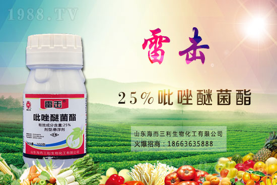 ħ��r������Xһ�2021��ħ��Nֲǰ�������