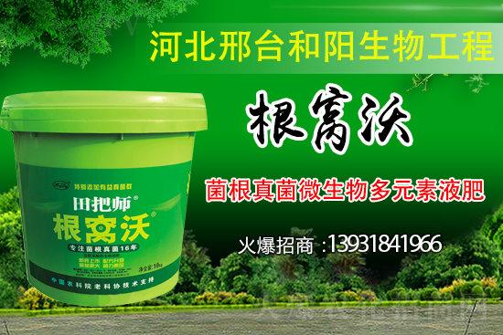 ��Щ��������������������ȡʲô��ʩ���Է�����