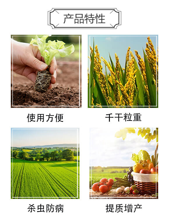 С���M���ײ�-����S-�A�S����_03