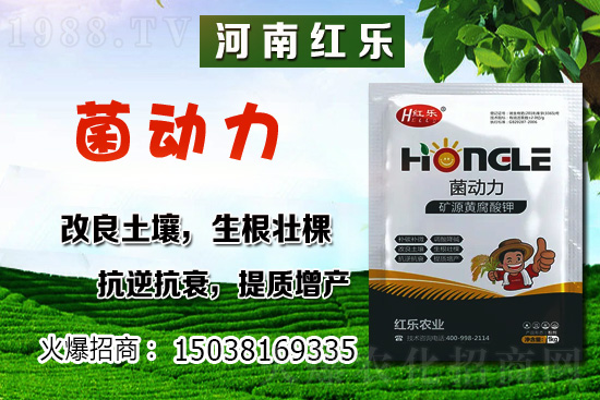 12�·��ܷNʲô�߲��������߲˷Nֲ����Щ������