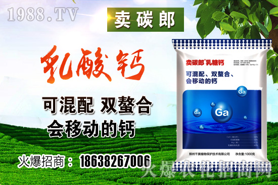 ���������^����С���r(ji��)�����w��λڅ��(w��n)��