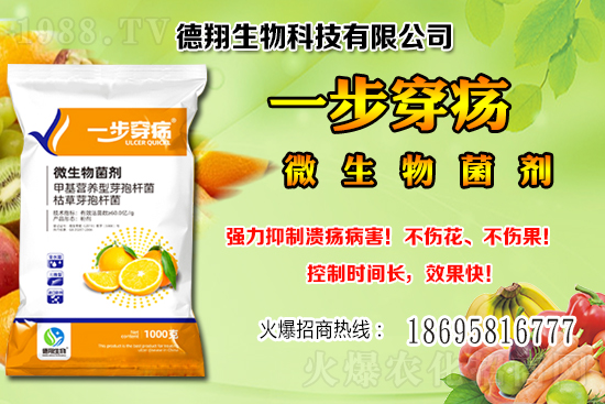 ���a(ch��n)�󶹃r(ji��)��(w��n)���е���2020-12-21�����������ֵ؅^(q��)��������