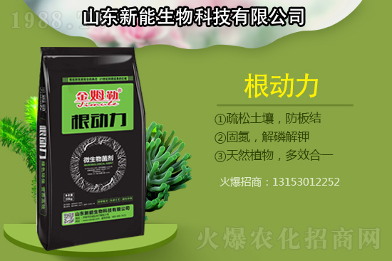 作物根部病害多原因在哪？解決病害生根措施怎么做？