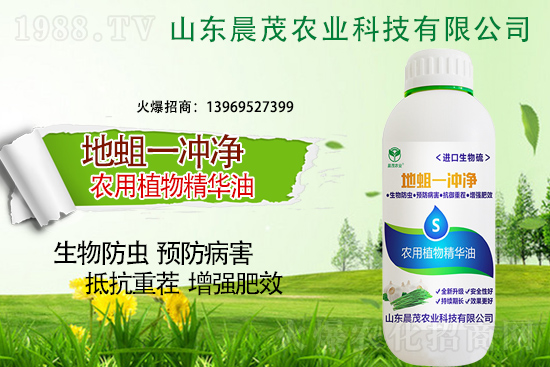 地蛆難防也要治，地蛆的防治要點