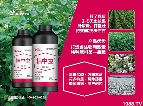 �طN�ʞ�ʲô�@ô������ʲô���c֮̎��