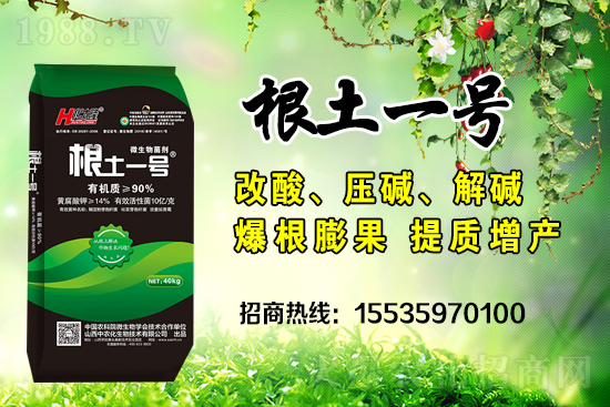     ΢��������е�΢������ʲô������΢�����������θ�����������