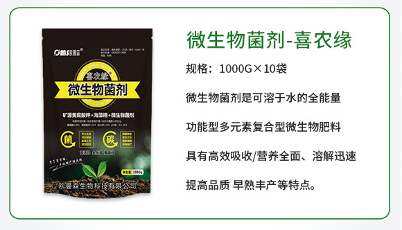 ΢�������-ϲ�r(n��ng)��-�W��ɭ_02