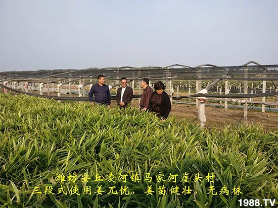     �l(f��)�������aƷ������أ�n������ʽ���ؠ����Ӳ����Ñ���������Ч����������