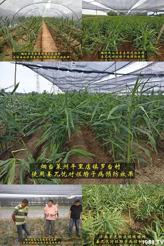     �l(f��)�������aƷ������أ�n������ʽ���ؠ����Ӳ����Ñ���������Ч�������ˣ�