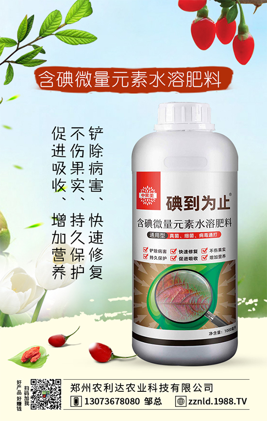 春季茄子如何施肥？需要注意哪些？