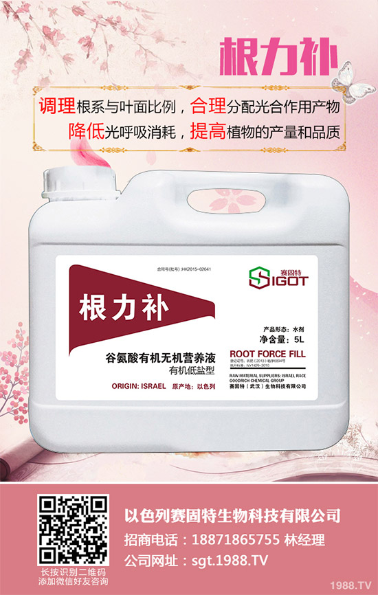 С��������Ҋ�Ĳ�������Щ��ԓ��η��Σ�����С���������η�����B