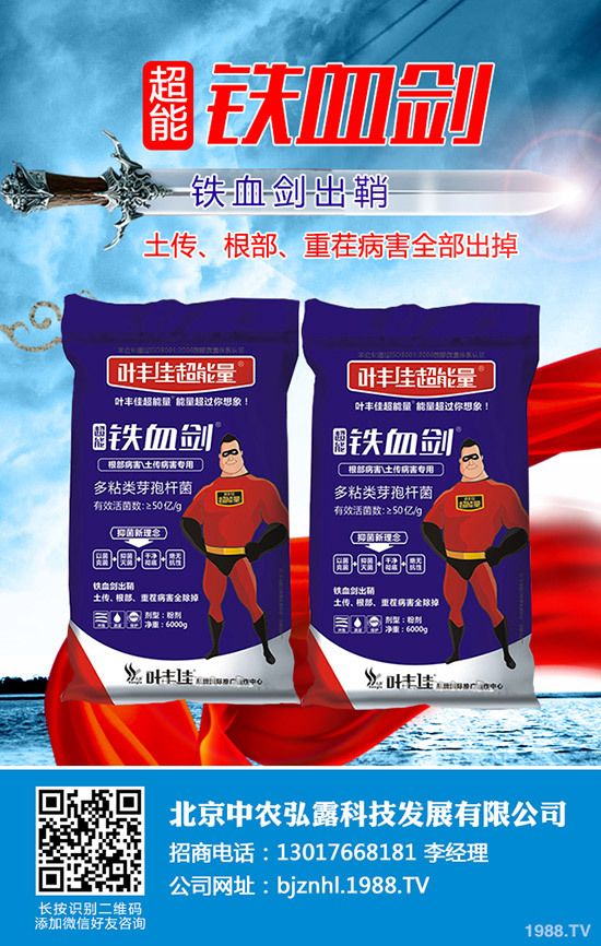     ���ҷ��Ѱ׷�ʭ��Σ�������ҷ��Ѱ׷�ʭ���ӷ��Σ�