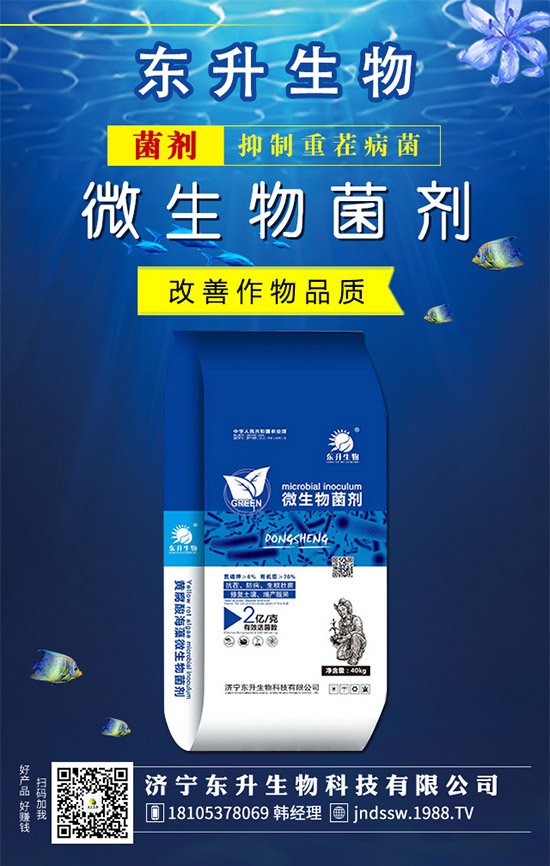 �²�Ʒ�N����Щ���²˵��B(y��ng)ֳע�����(xi��ng)��